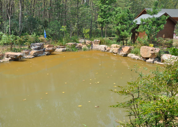 合肥濱湖濕地森林公園水污染應(yīng)急治理實驗項目